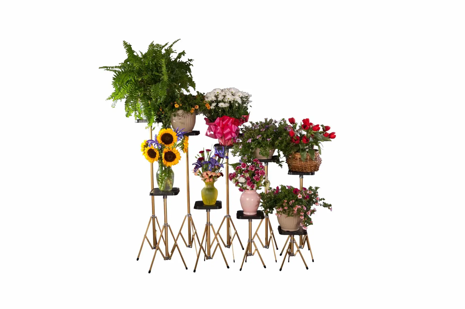 __8890 Basic Small Top Display Stand Value Full Bundle All 9 Stands